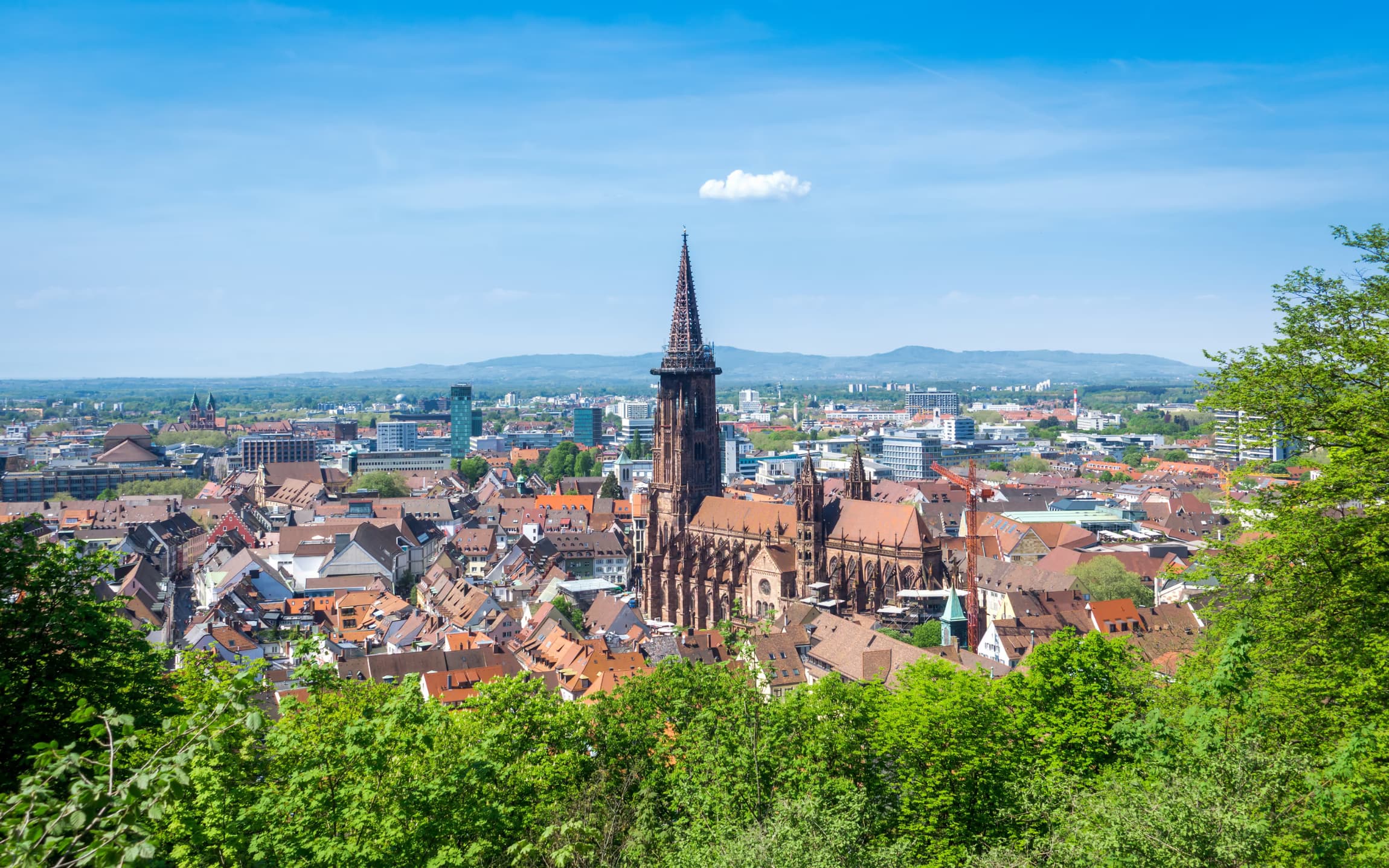 Concertgoers gathered for a Viva e.V. evening